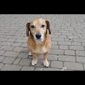 Meet your Posher, Derek